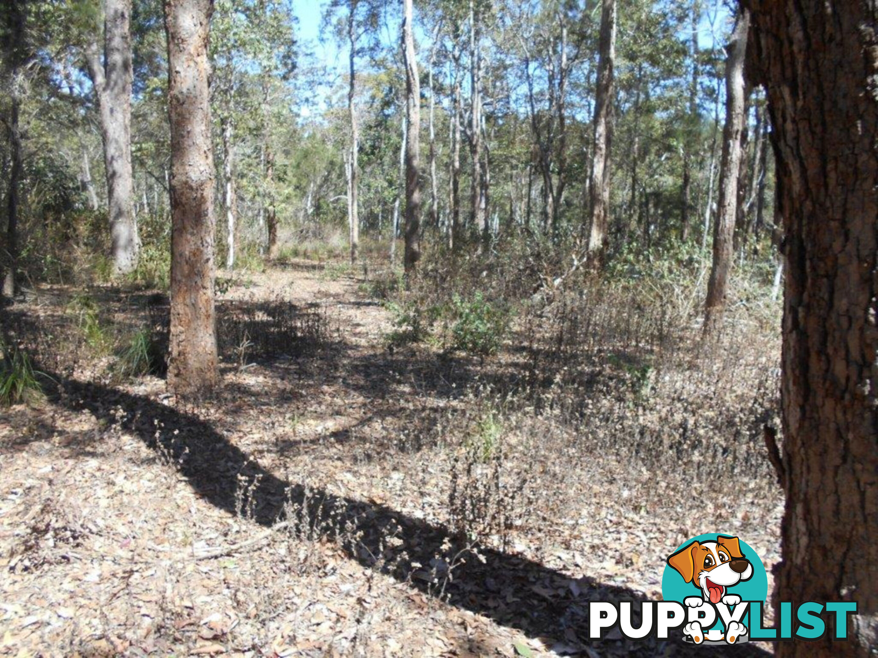 Lot 3 Bloodwood Road Mount Fox QLD 4850