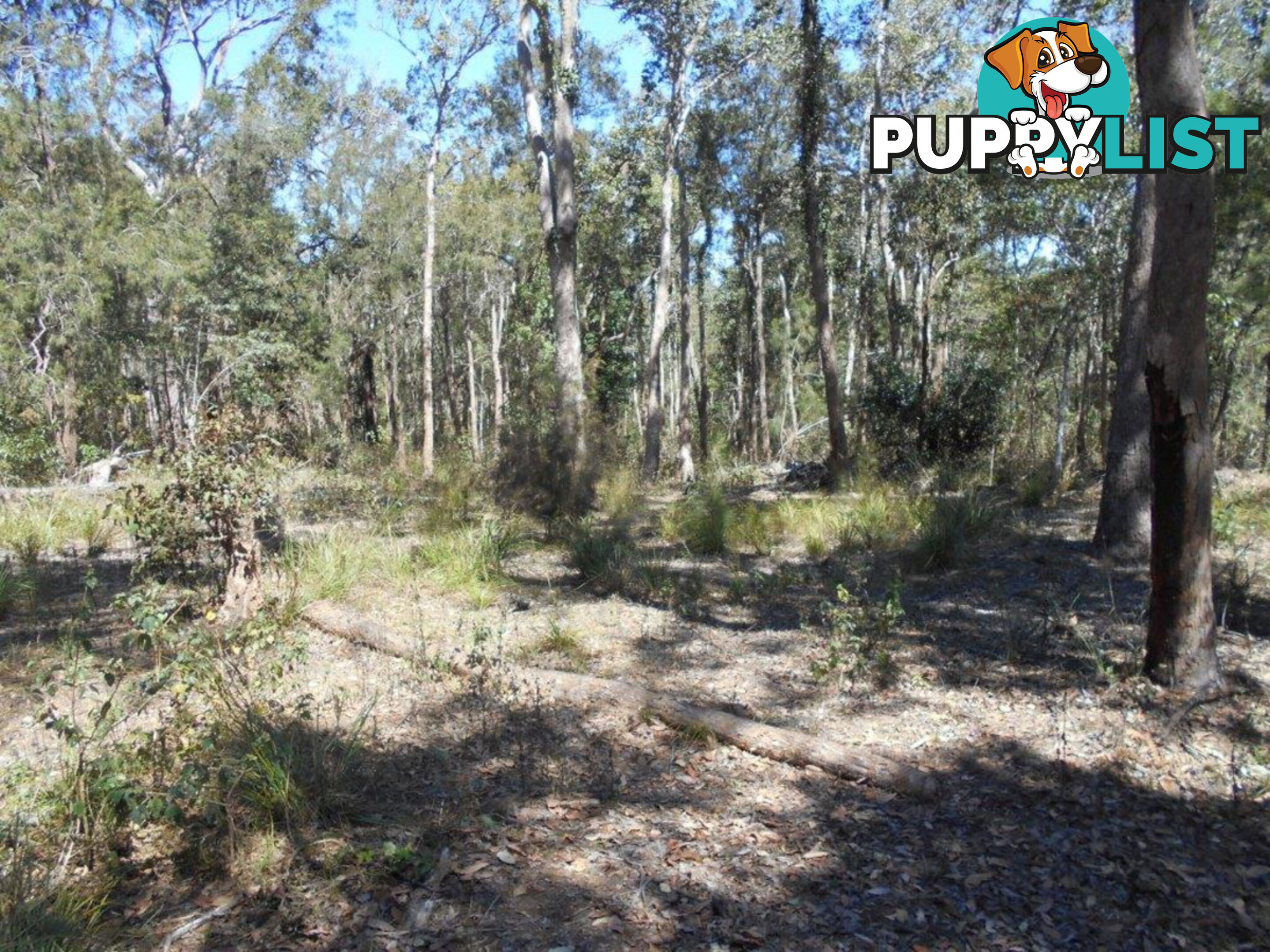 Lot 3 Bloodwood Road Mount Fox QLD 4850