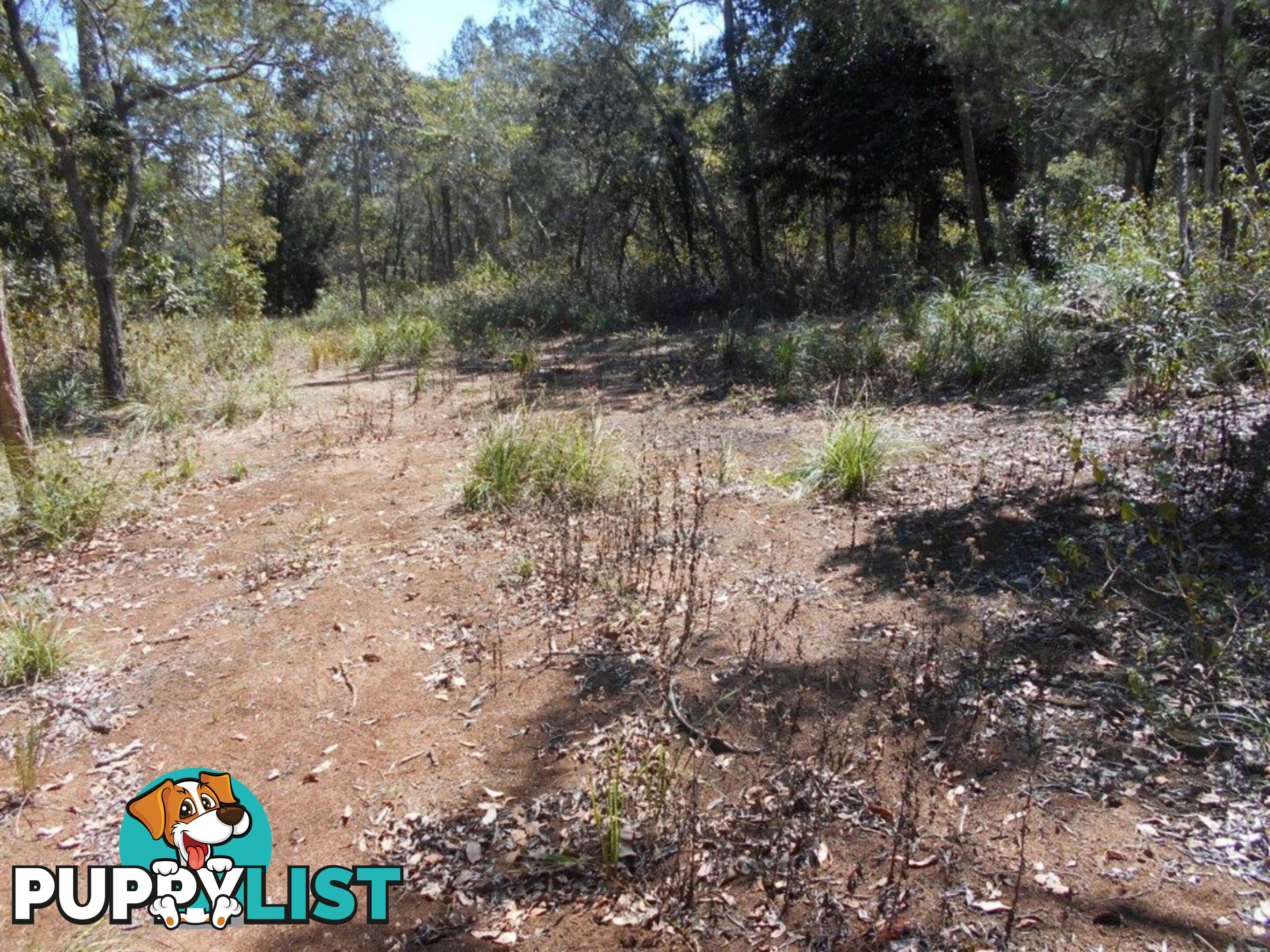 Lot 3 Bloodwood Road Mount Fox QLD 4850