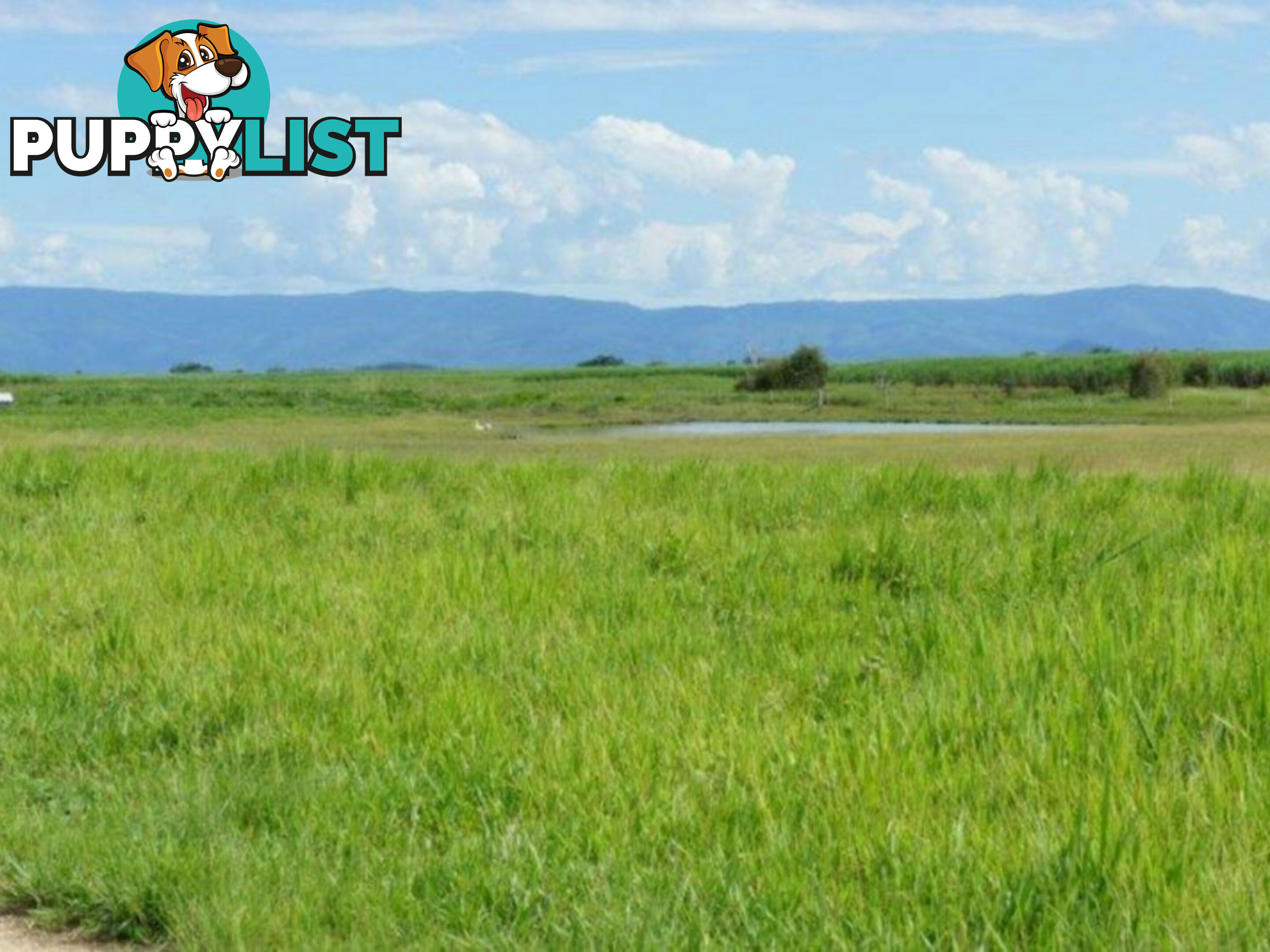 338 Legges Road Braemeadows QLD 4850