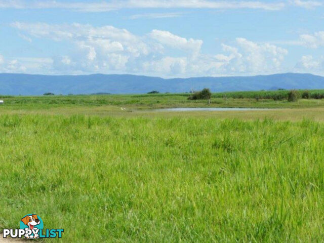 338 Legges Road Braemeadows QLD 4850