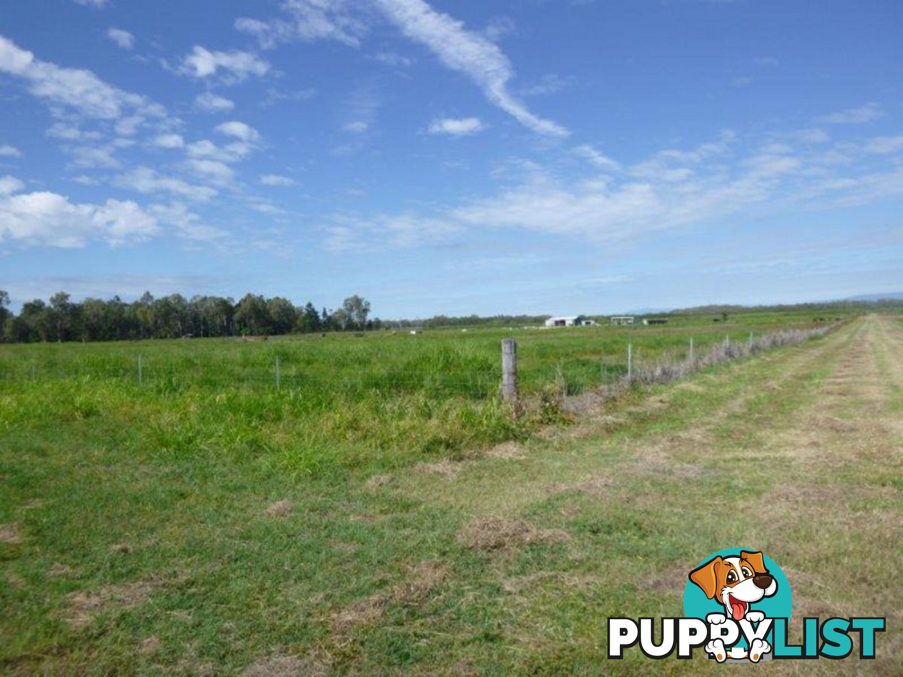 338 Legges Road Braemeadows QLD 4850
