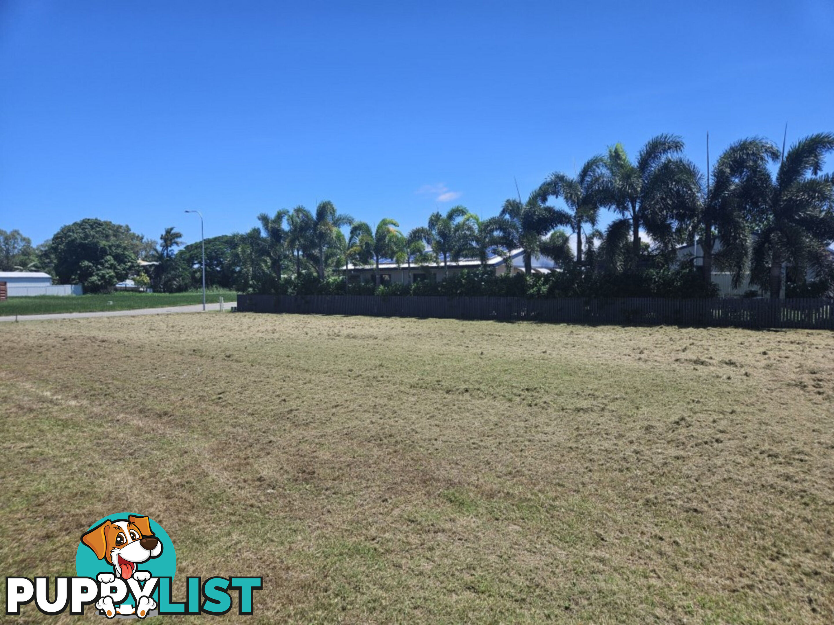 2 Lillypilly Court Forrest Beach QLD 4850