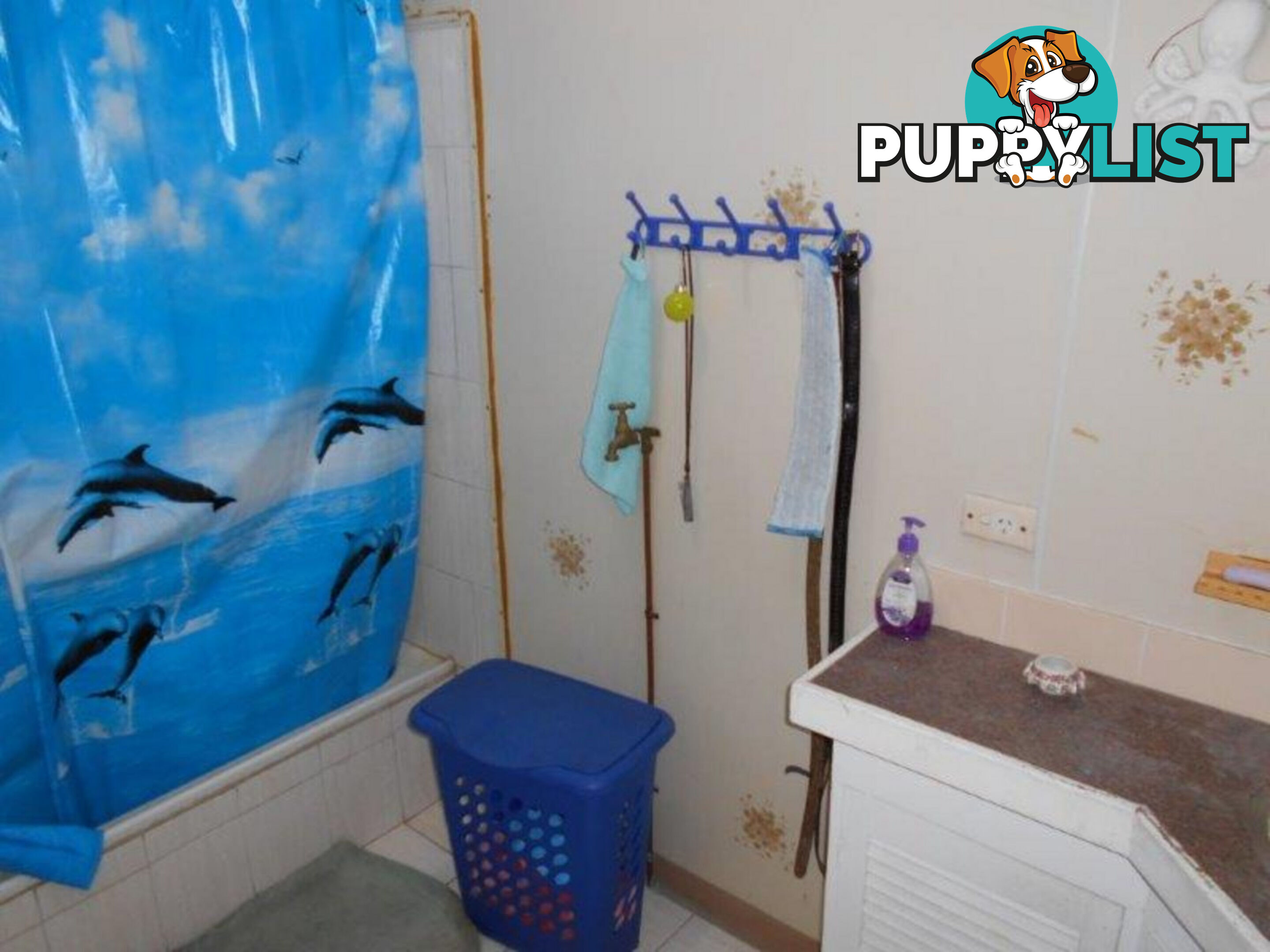 7 Candlenut Street Forrest Beach QLD 4850