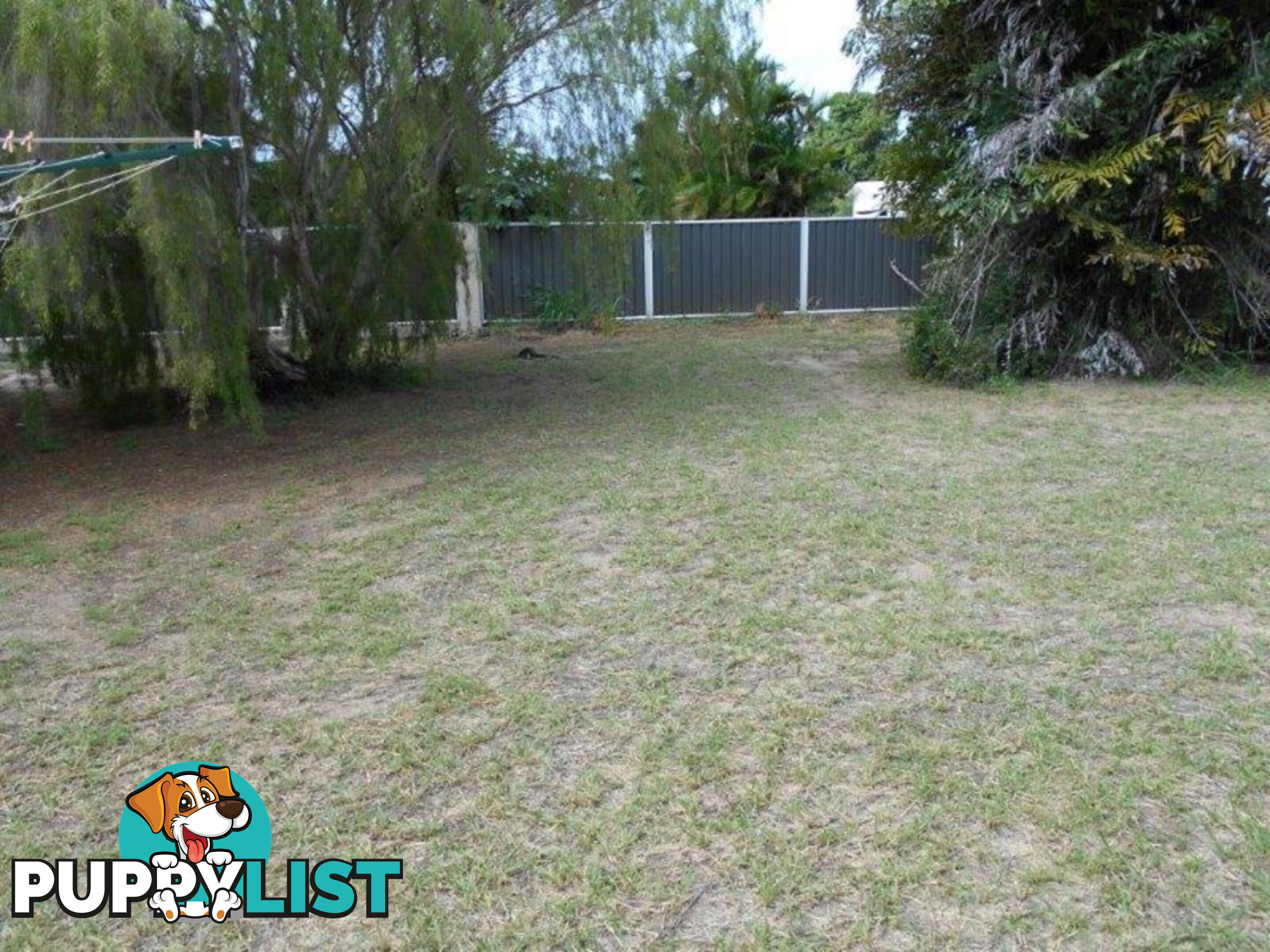 7 Candlenut Street Forrest Beach QLD 4850
