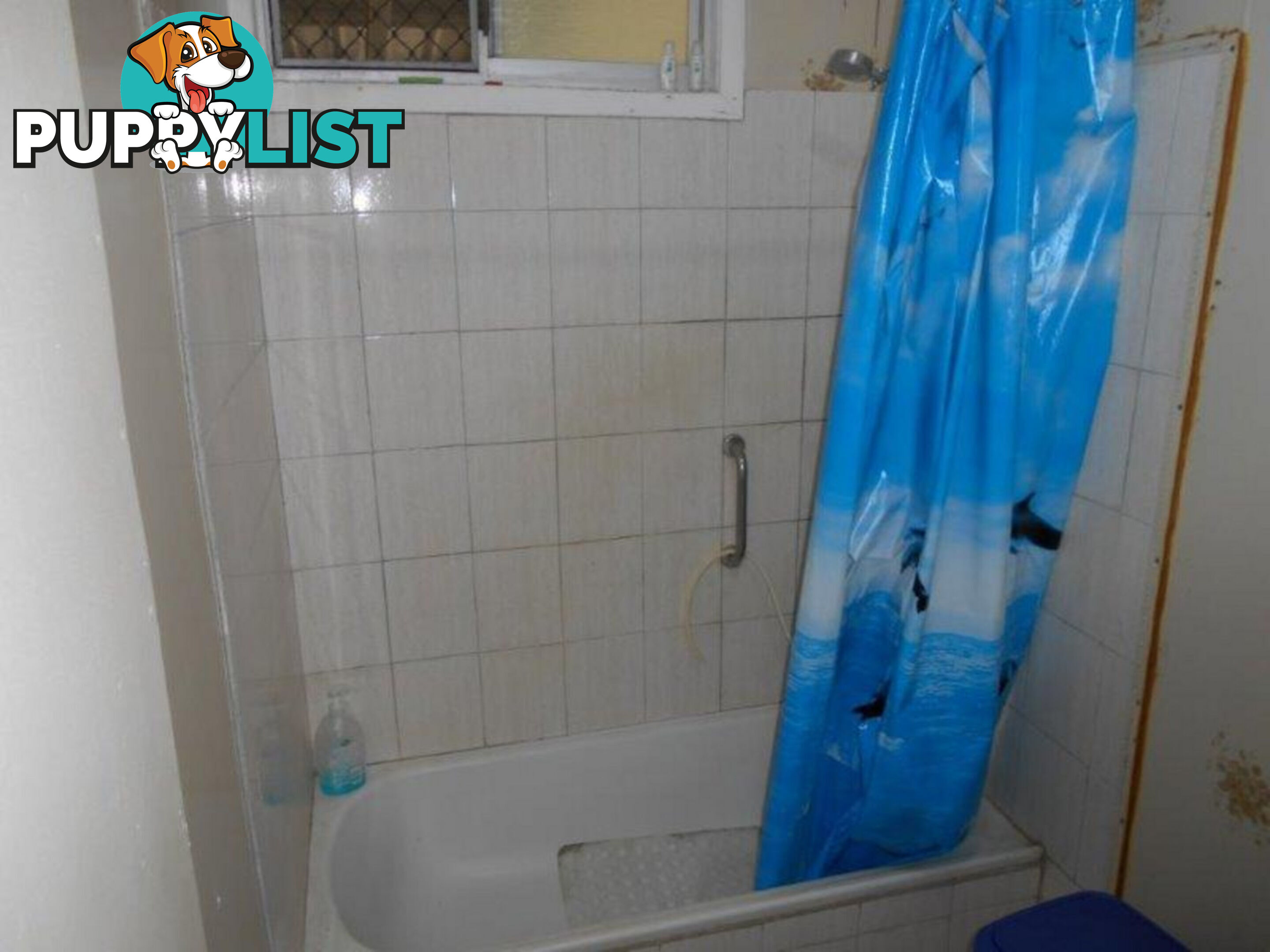 7 Candlenut Street Forrest Beach QLD 4850