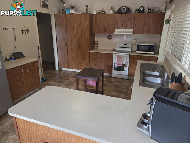 13 Ardrossan Street Ingham QLD 4850