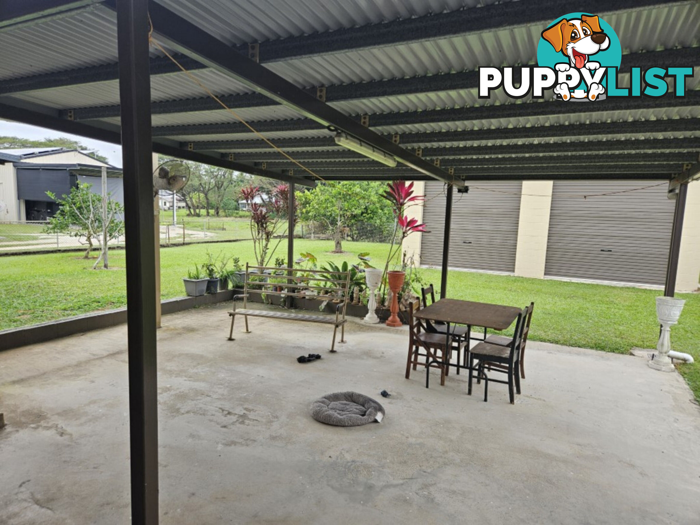 13 Ardrossan Street Ingham QLD 4850