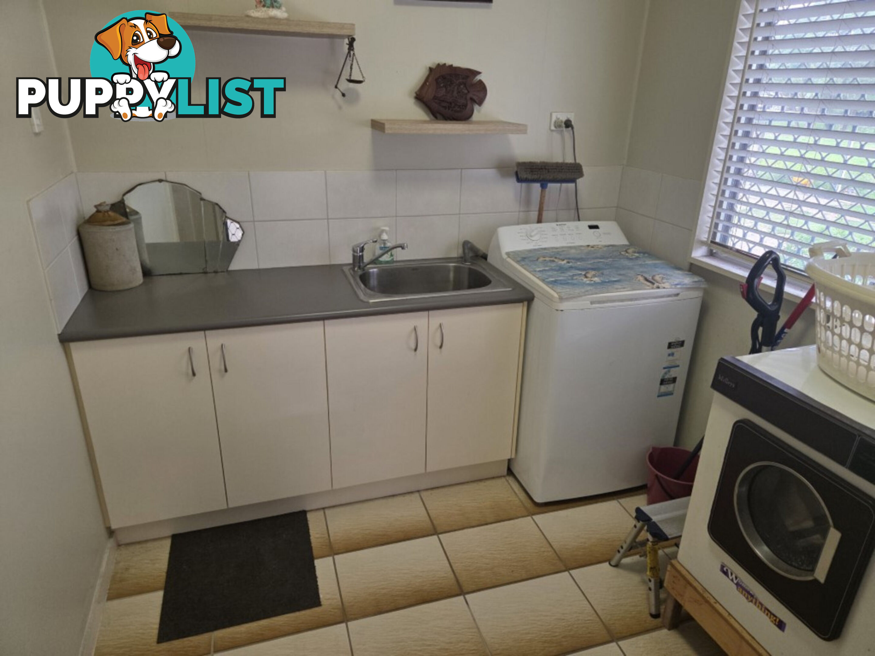 13 Ardrossan Street Ingham QLD 4850