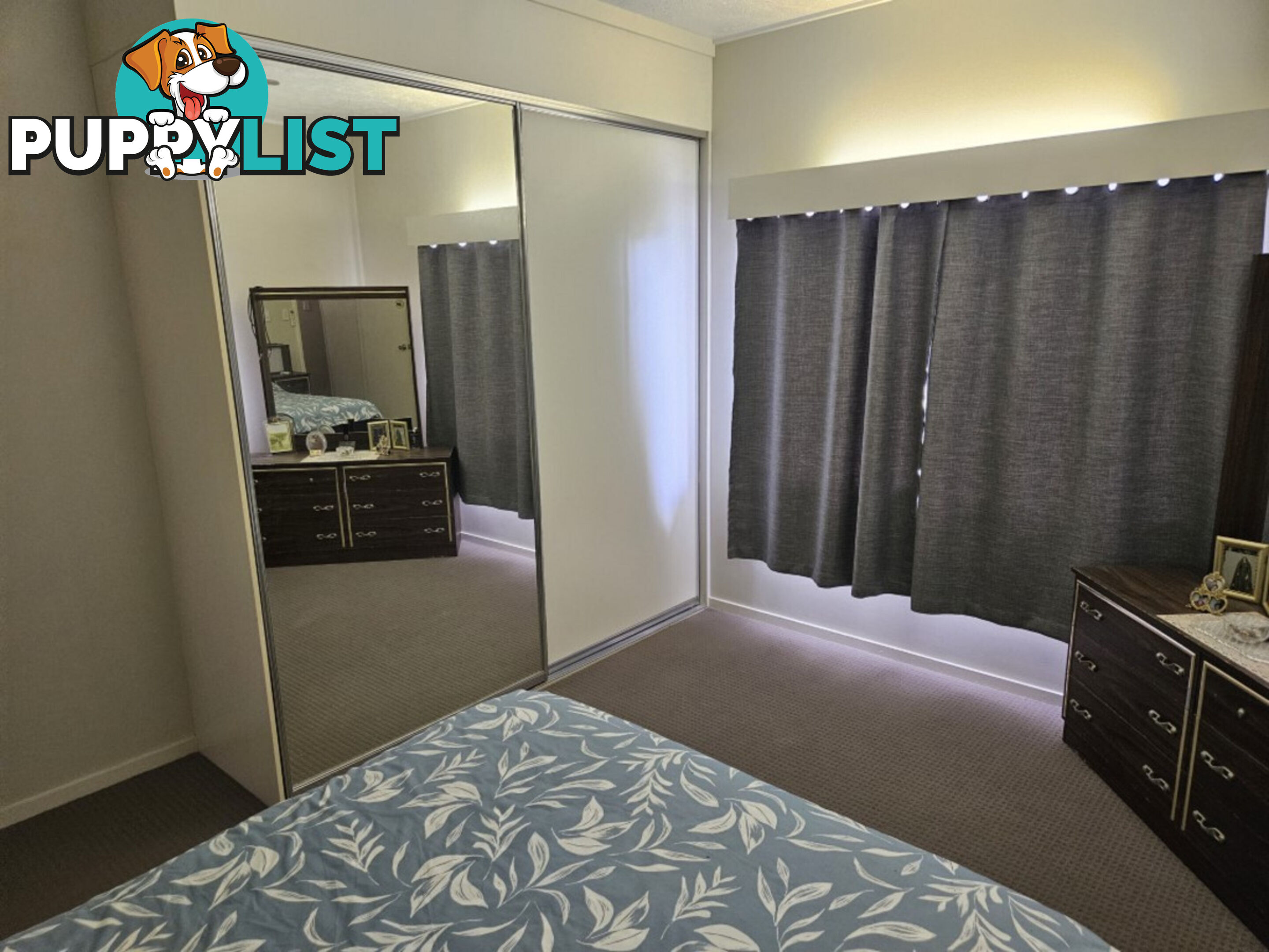 13 Ardrossan Street Ingham QLD 4850