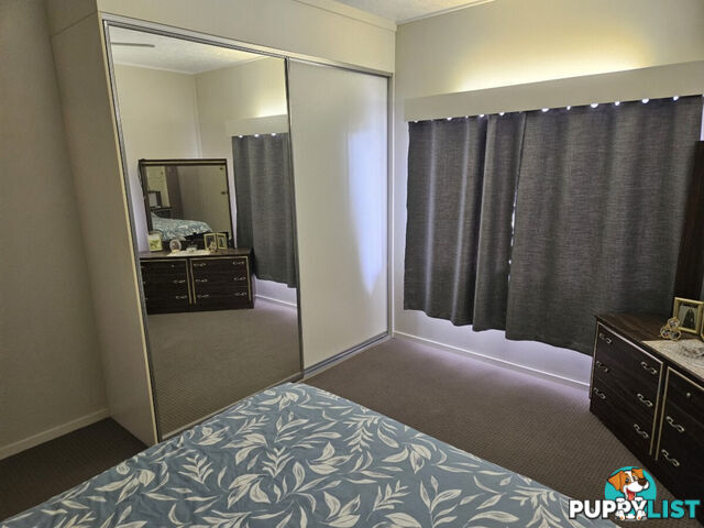 13 Ardrossan Street Ingham QLD 4850