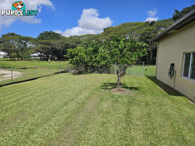 13 Ardrossan Street Ingham QLD 4850