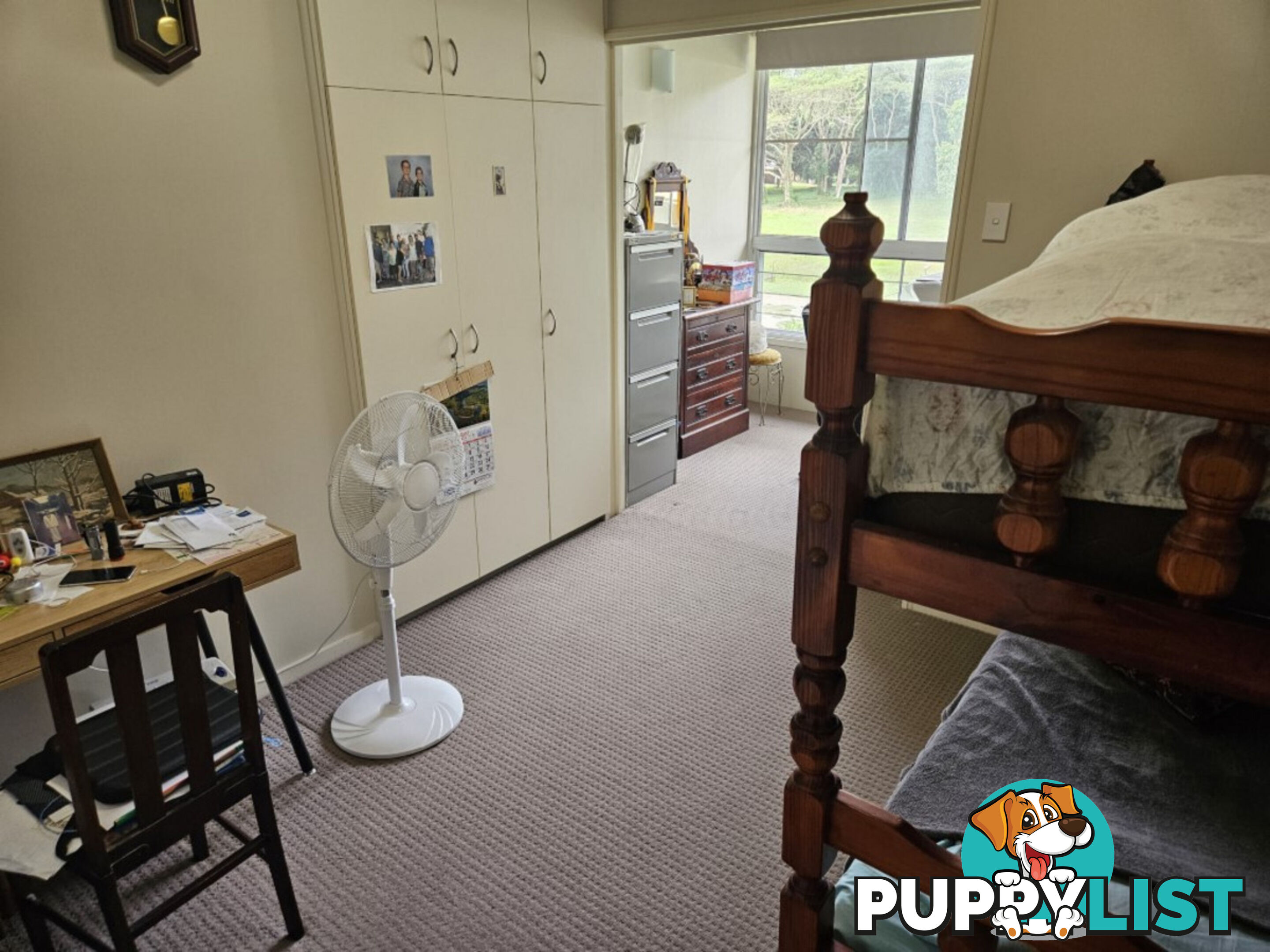13 Ardrossan Street Ingham QLD 4850