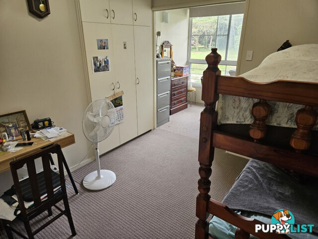 13 Ardrossan Street Ingham QLD 4850