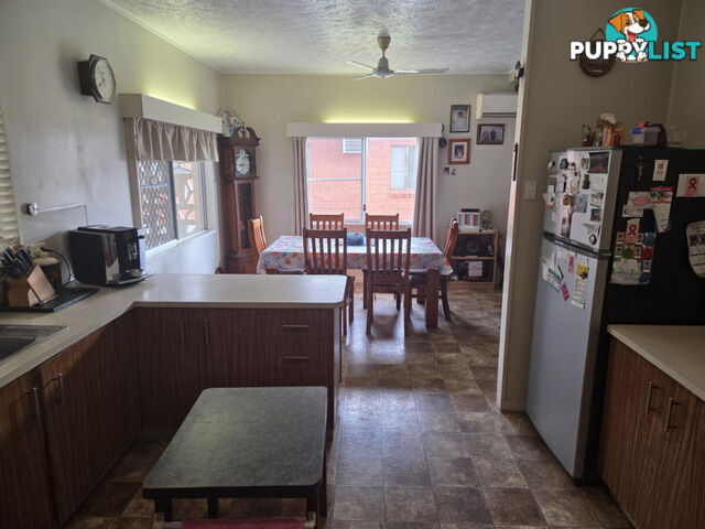 13 Ardrossan Street Ingham QLD 4850