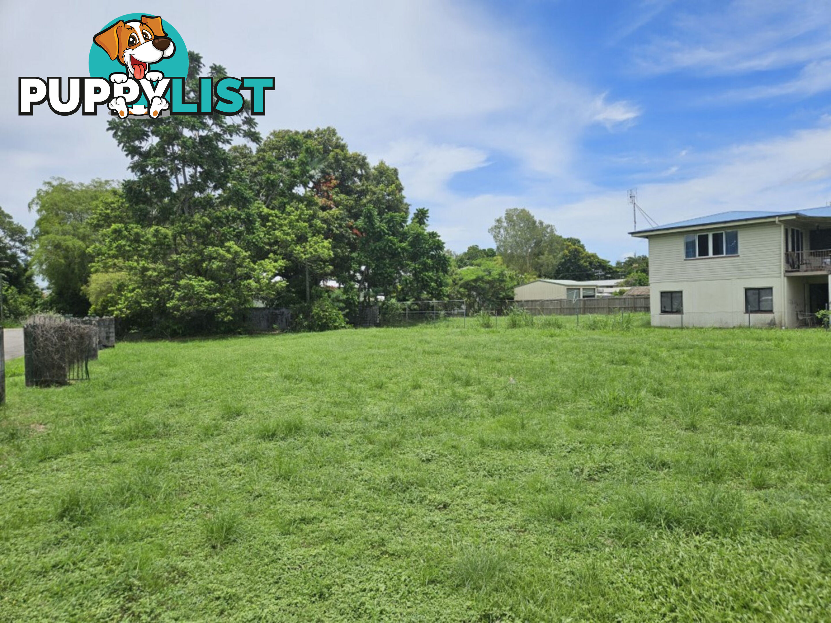 13 Gort Street Ingham QLD 4850