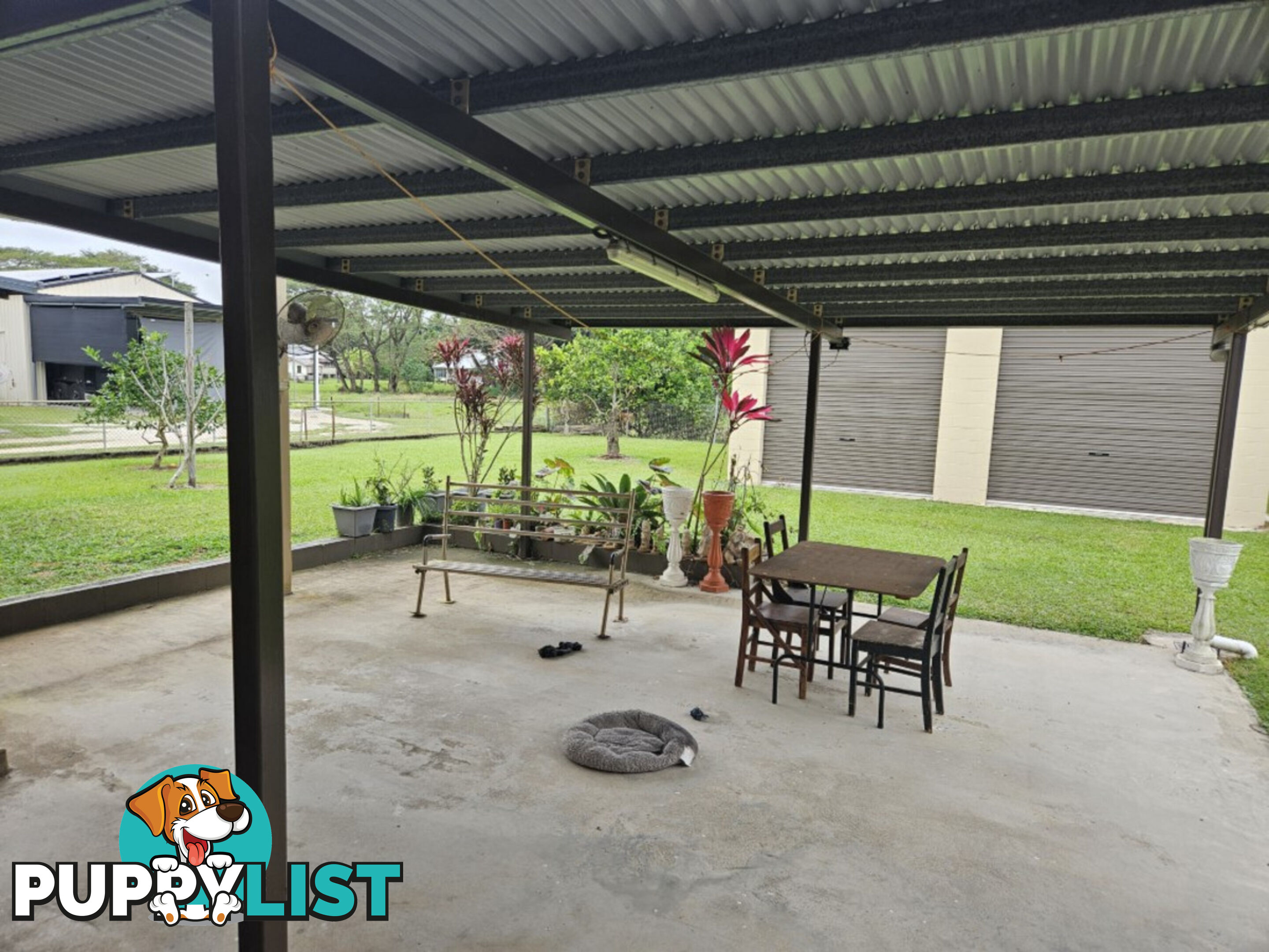 13 Ardrossan Street Ingham QLD 4850