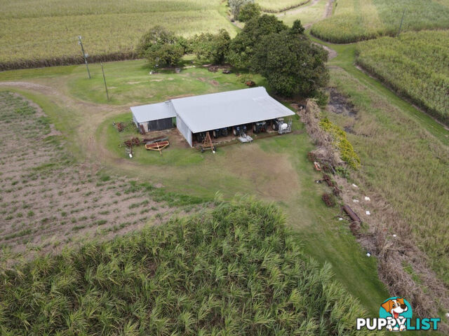 315 Kemp's Road Macknade QLD 4850