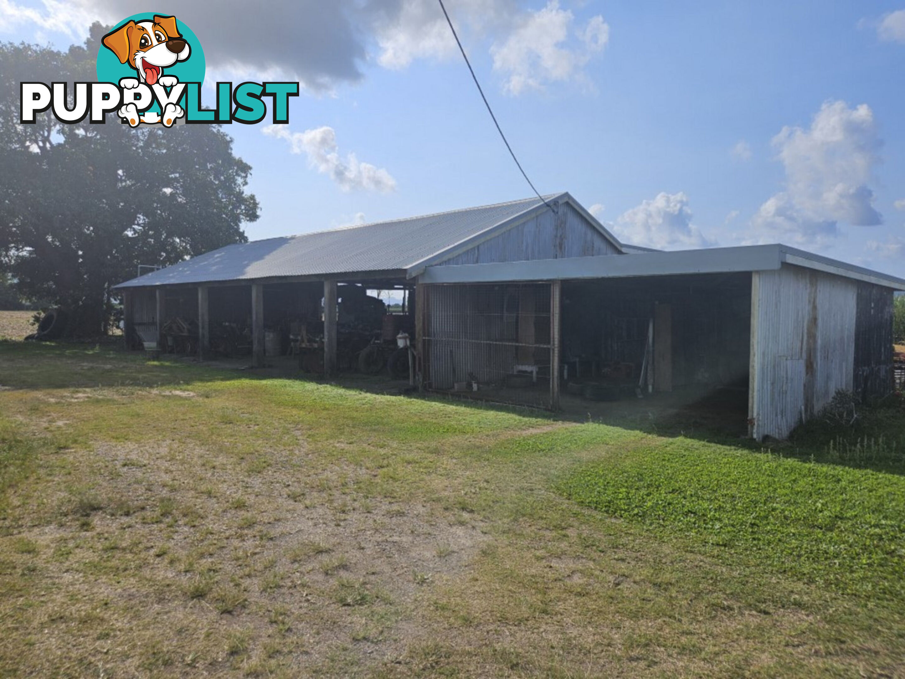 315 Kemp's Road Macknade QLD 4850