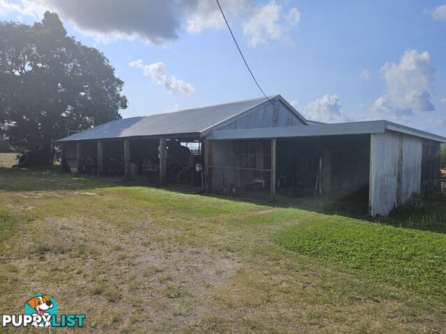 315 Kemp's Road Macknade QLD 4850