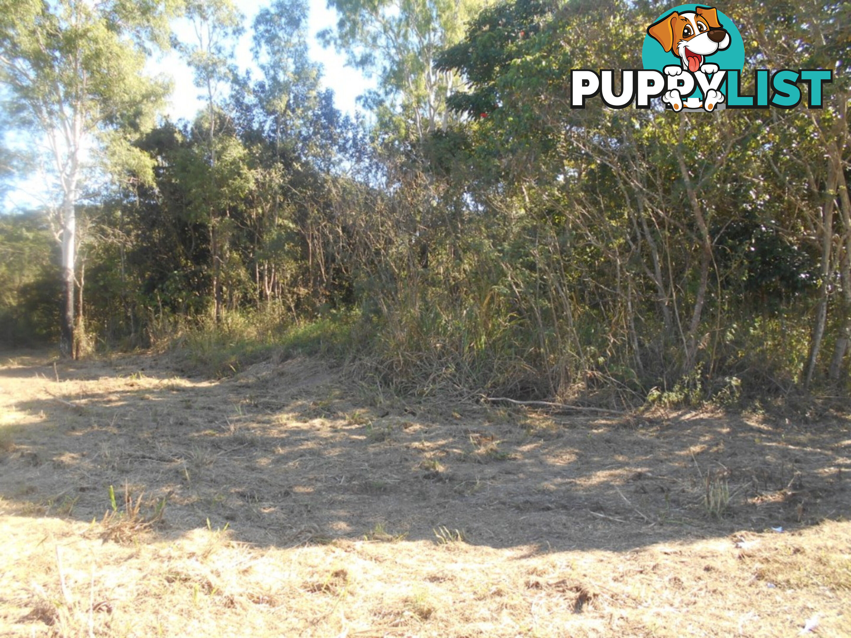 19 - 27 Berwick Street Ingham QLD 4850
