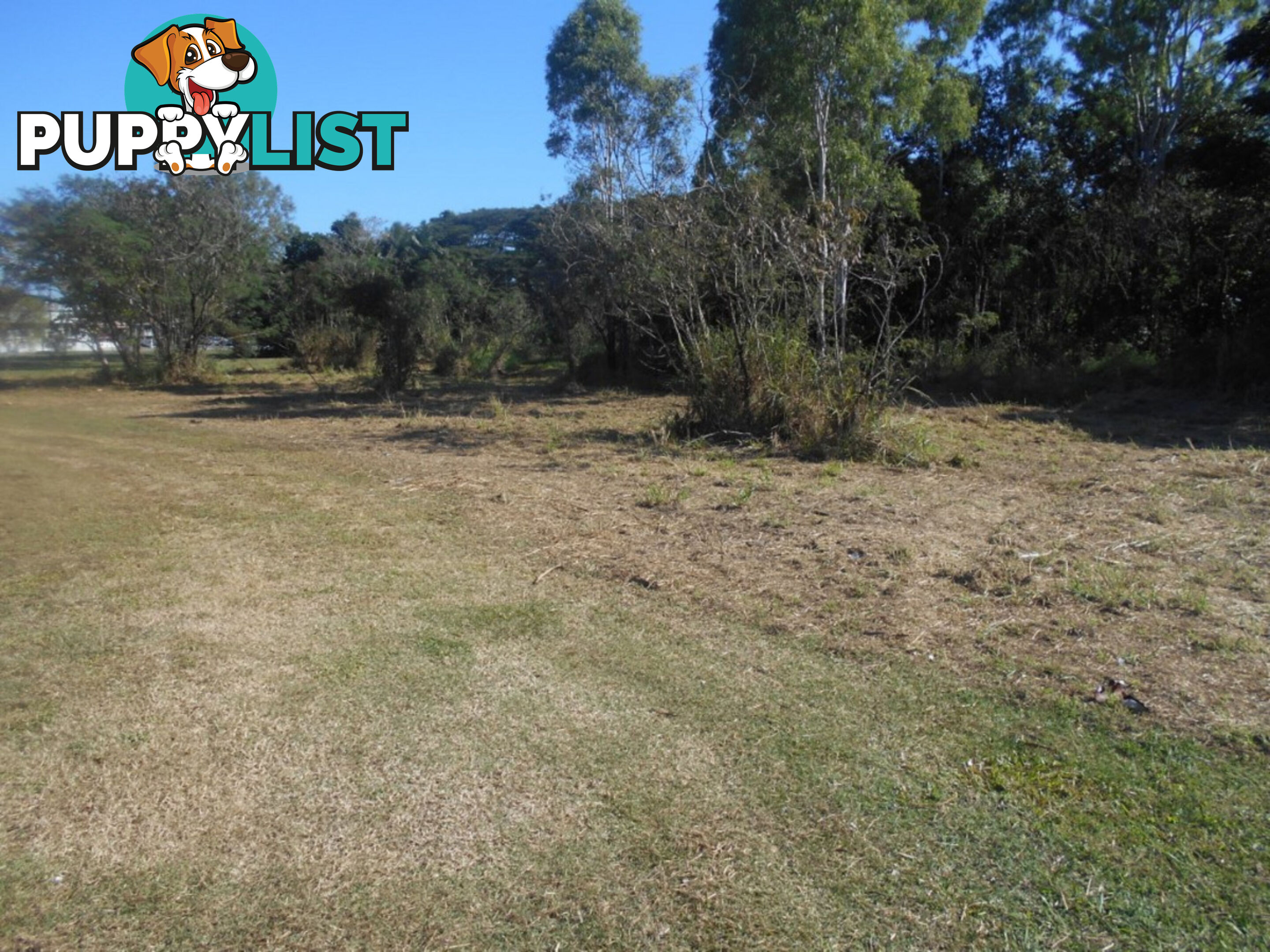 19 - 27 Berwick Street Ingham QLD 4850
