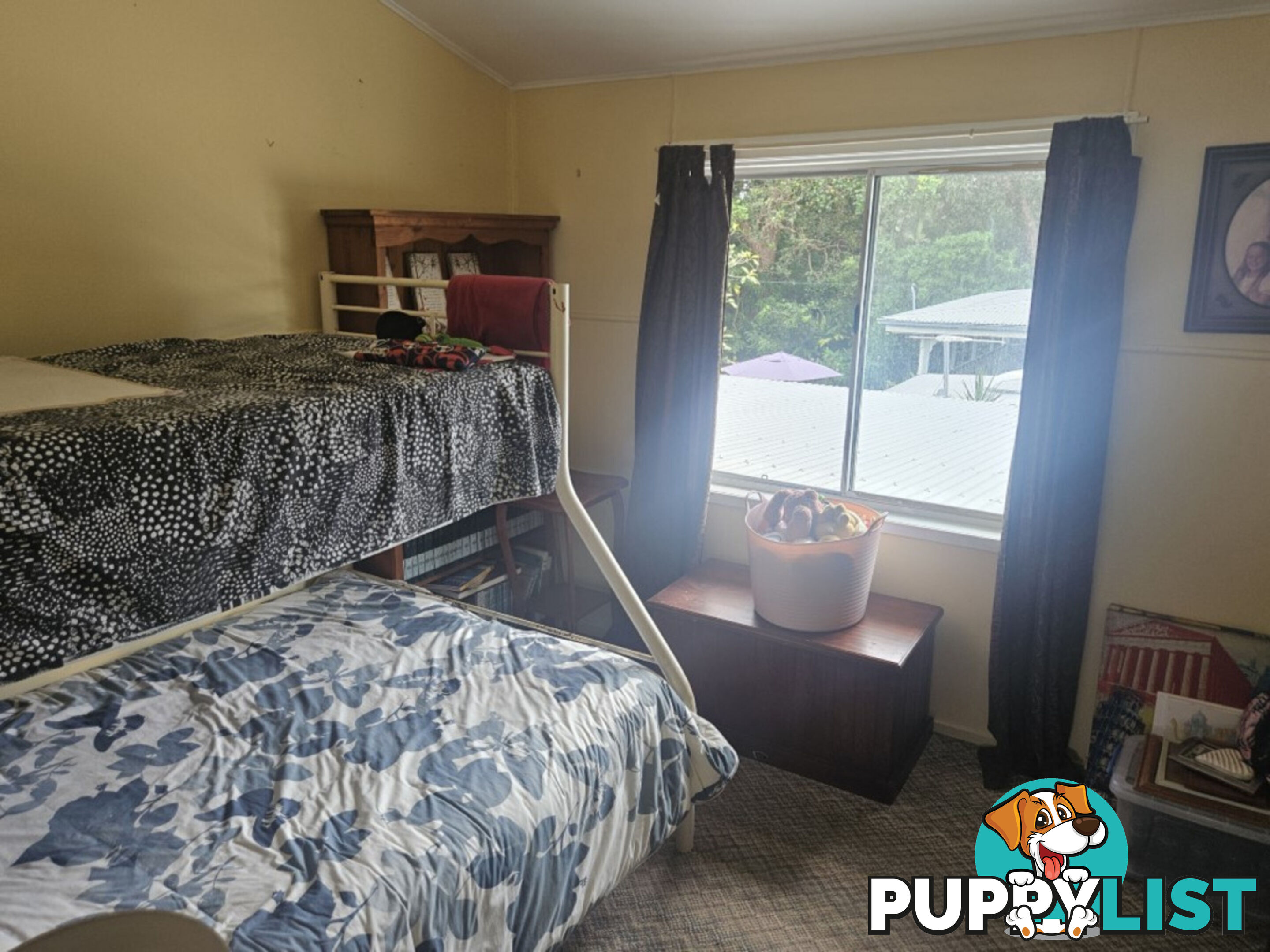 25 Acacia Street Forrest Beach QLD 4850