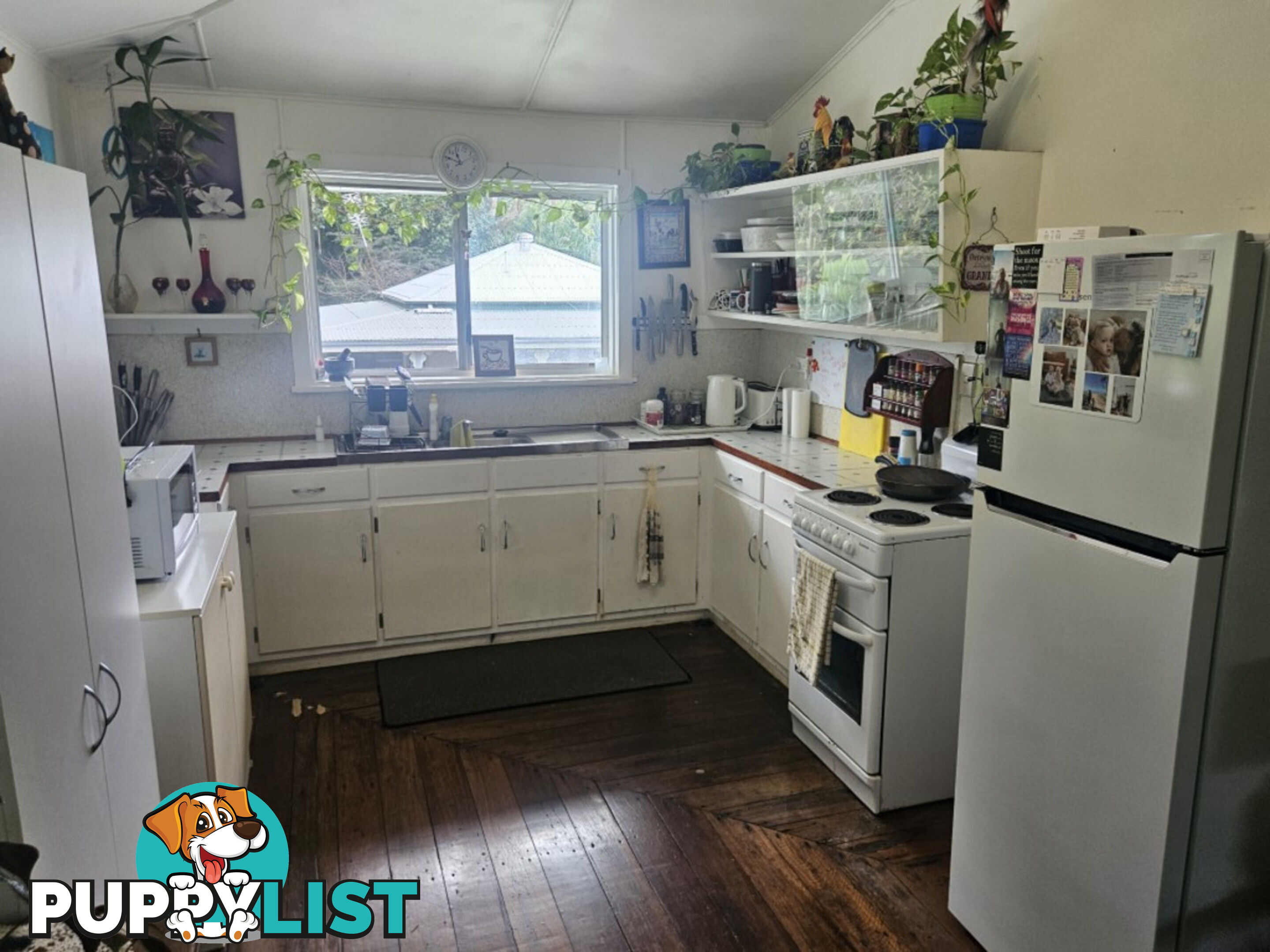 25 Acacia Street Forrest Beach QLD 4850