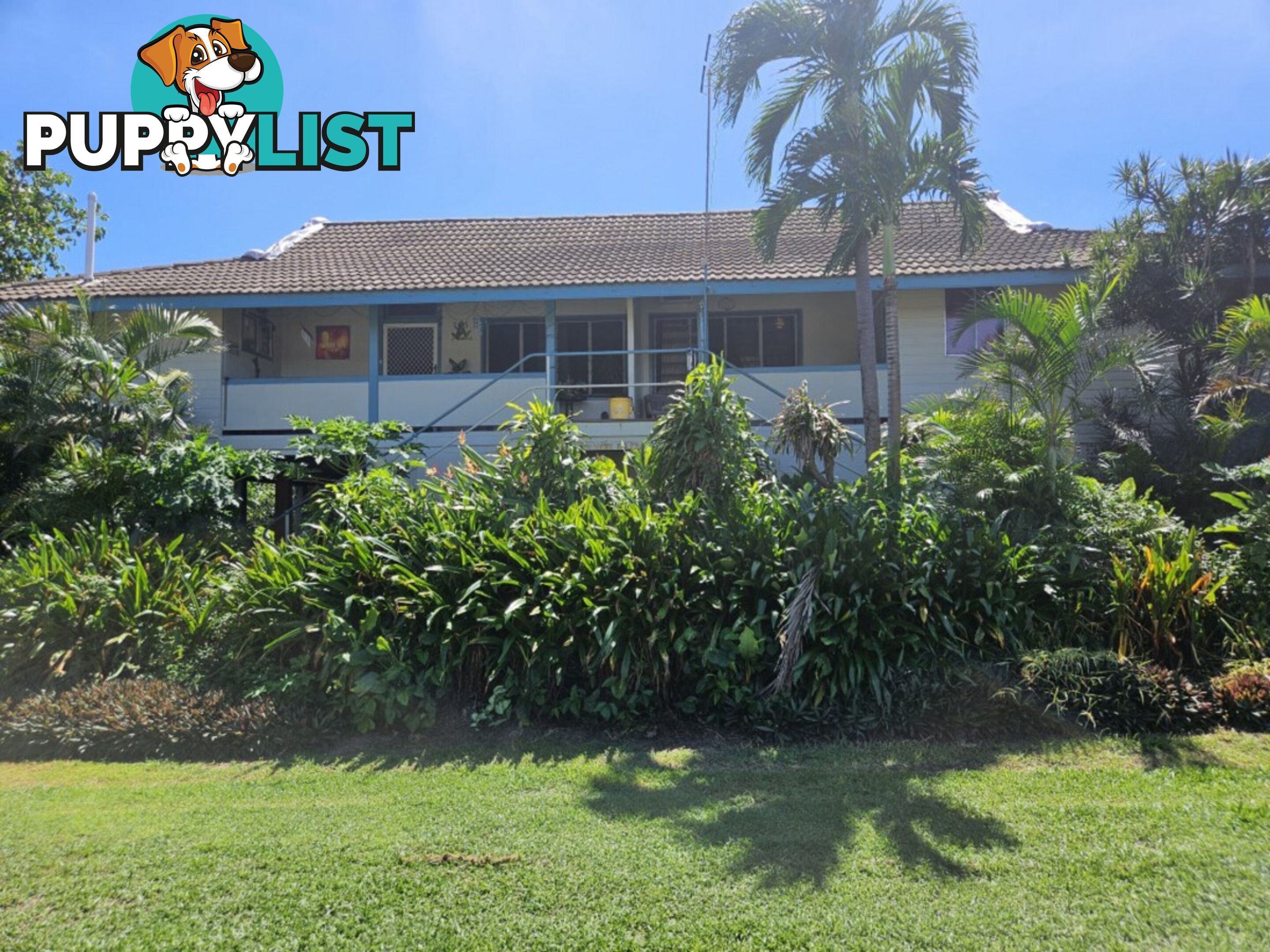 25 Acacia Street Forrest Beach QLD 4850