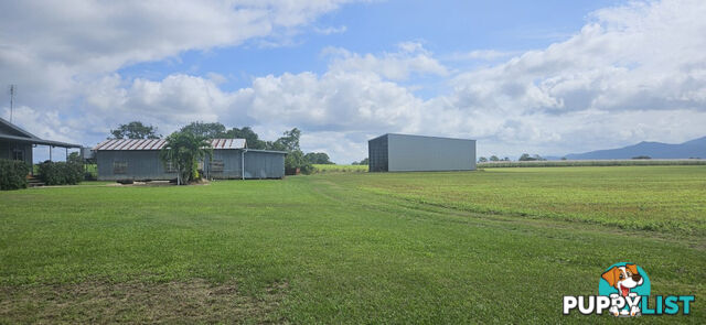 579 Trebonne Road Trebonne QLD 4850