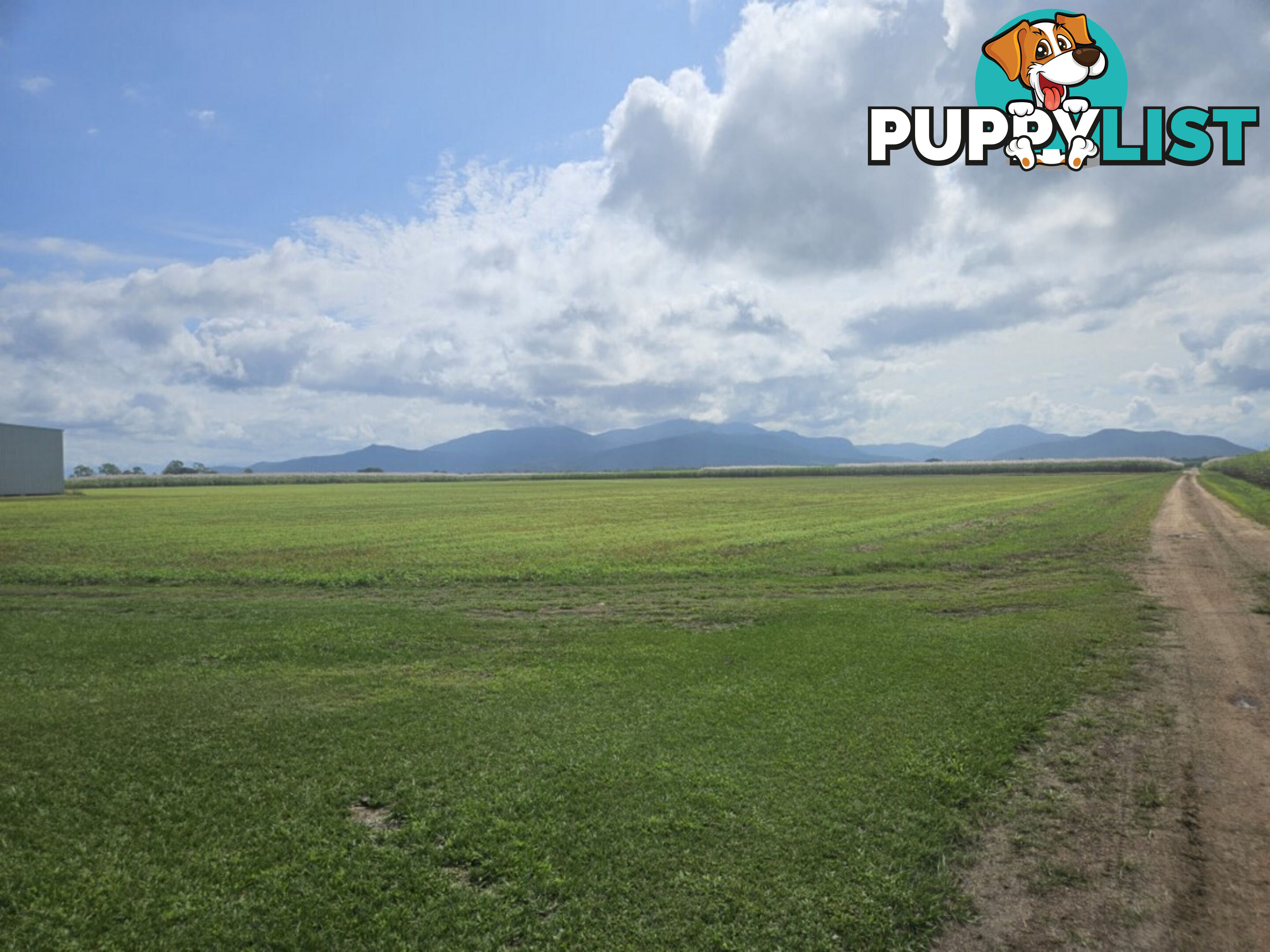 579 Trebonne Road Trebonne QLD 4850