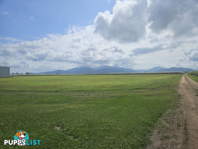 579 Trebonne Road Trebonne QLD 4850