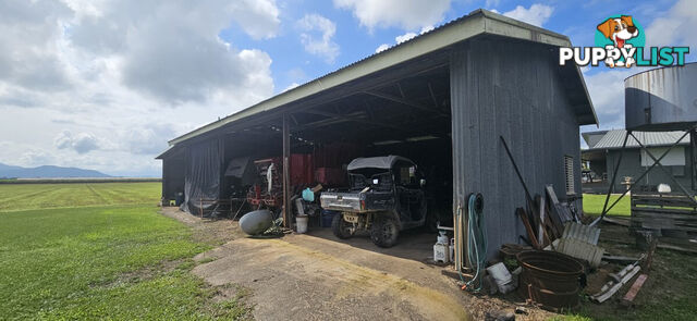 579 Trebonne Road Trebonne QLD 4850