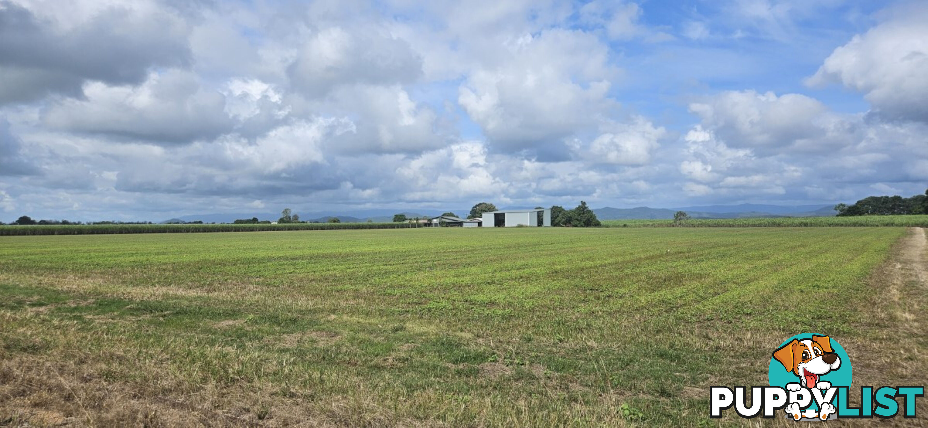 579 Trebonne Road Trebonne QLD 4850