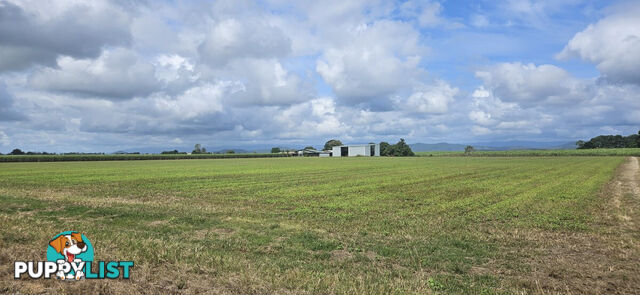 579 Trebonne Road Trebonne QLD 4850