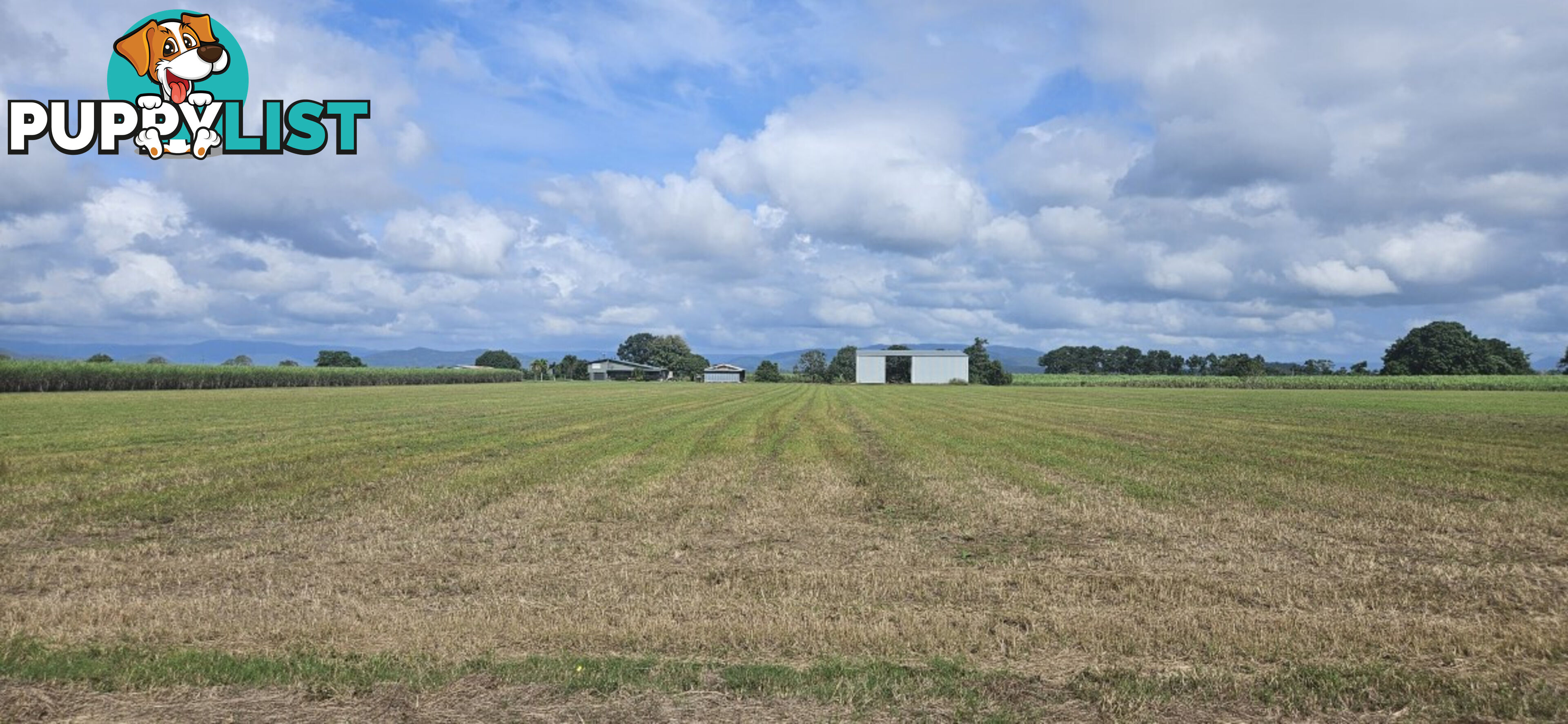 579 Trebonne Road Trebonne QLD 4850