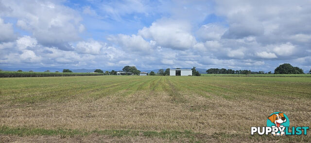 579 Trebonne Road Trebonne QLD 4850
