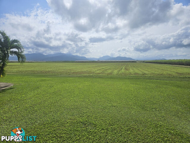 579 Trebonne Road Trebonne QLD 4850