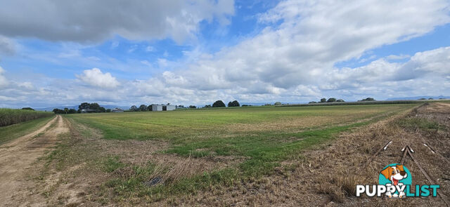 579 Trebonne Road Trebonne QLD 4850
