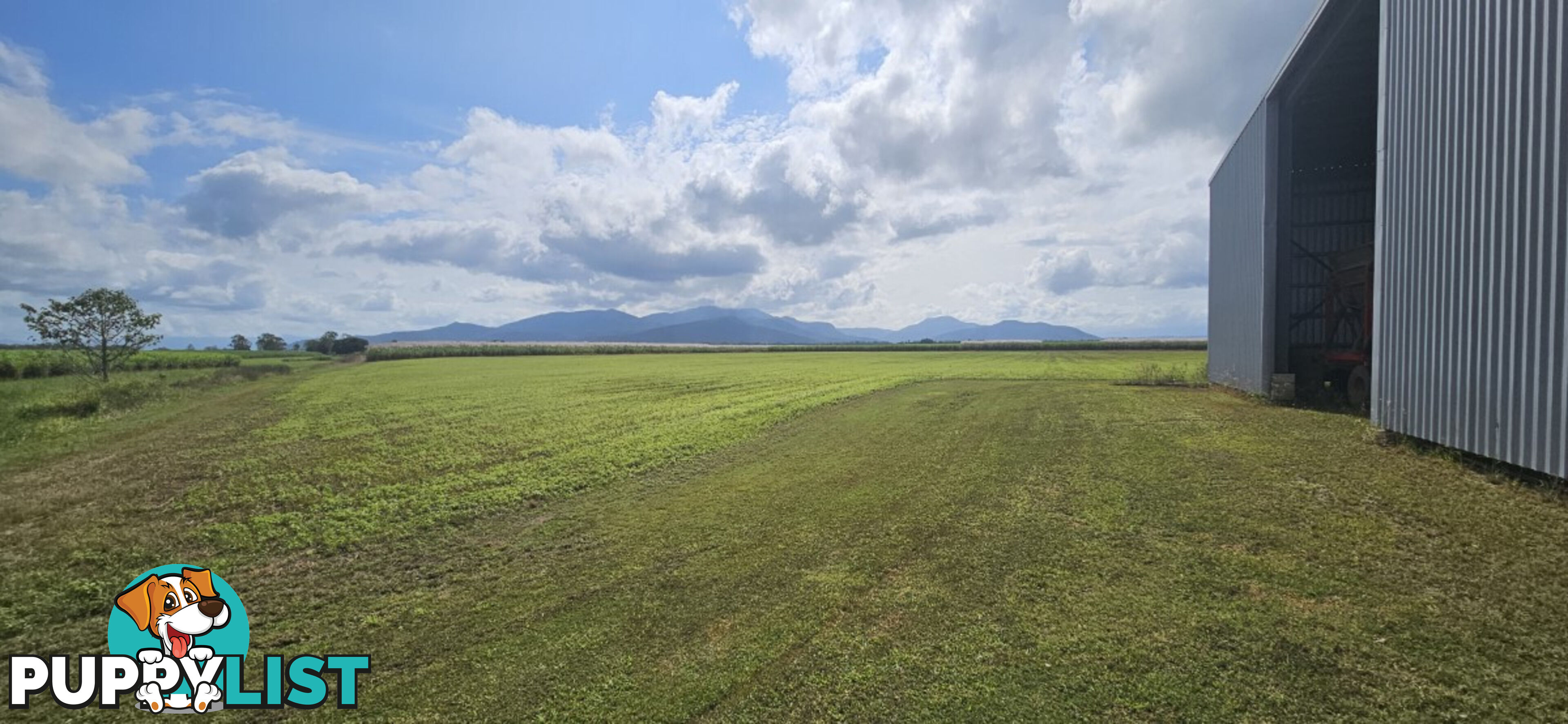 579 Trebonne Road Trebonne QLD 4850