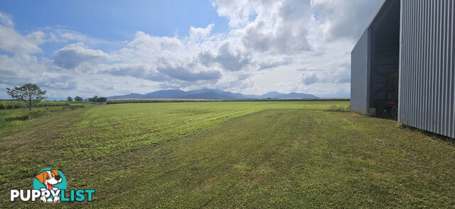 579 Trebonne Road Trebonne QLD 4850