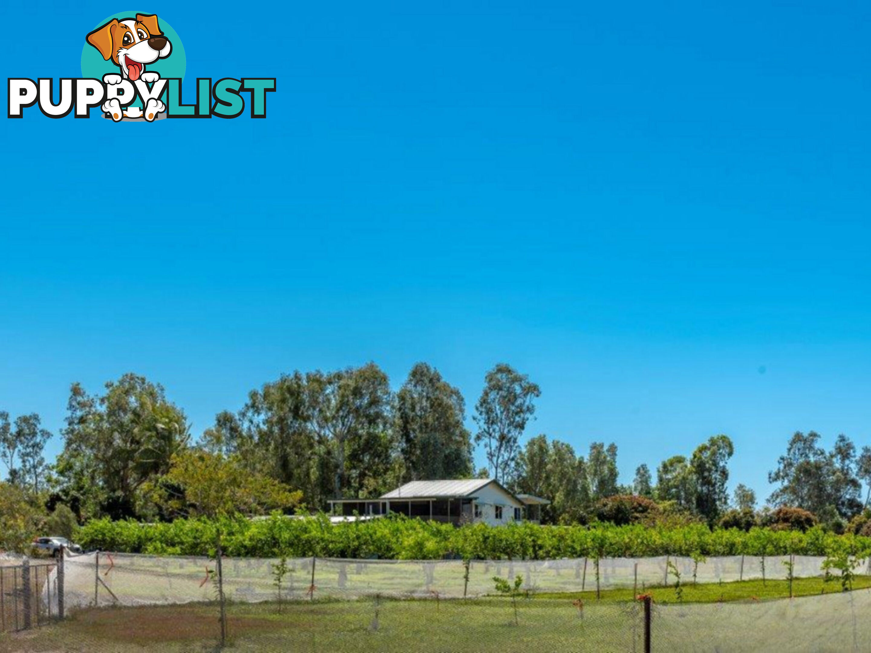 75 Lily Creek Road Ellerbeck QLD 4816