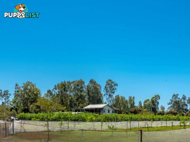 75 Lily Creek Road Ellerbeck QLD 4816