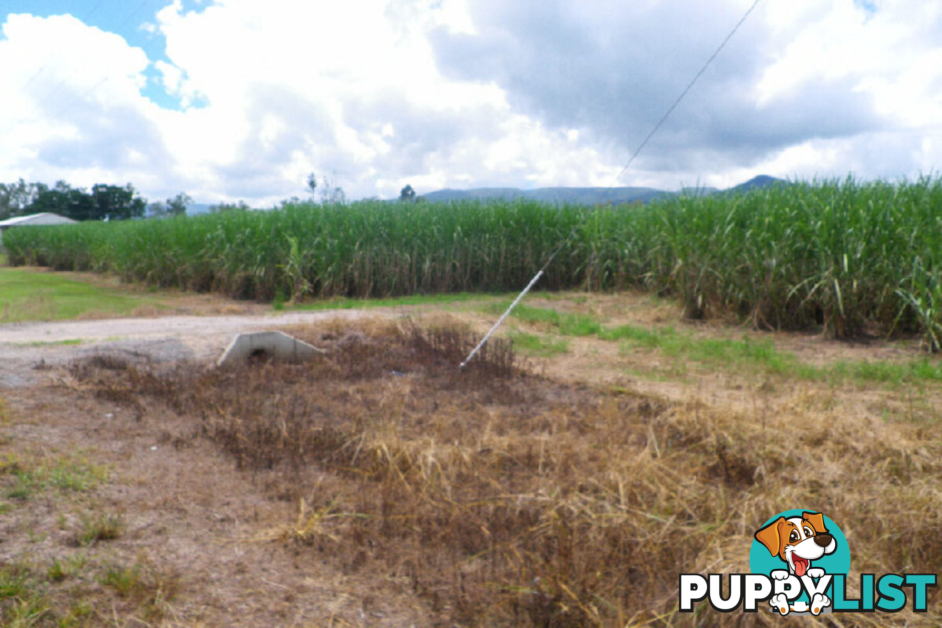 Lot 3 Scotts Road Lannercost QLD 4850