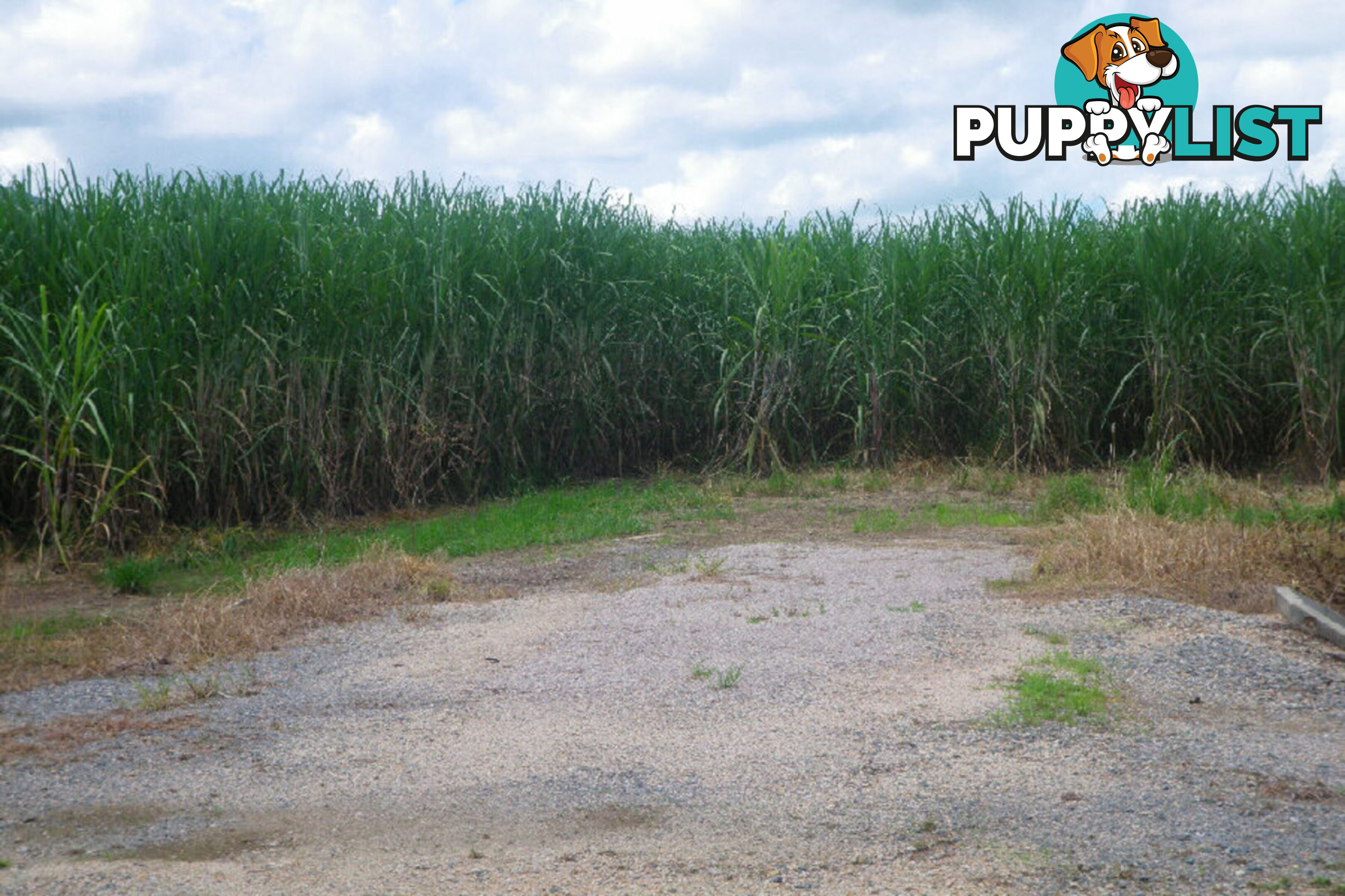 Lot 3 Scotts Road Lannercost QLD 4850