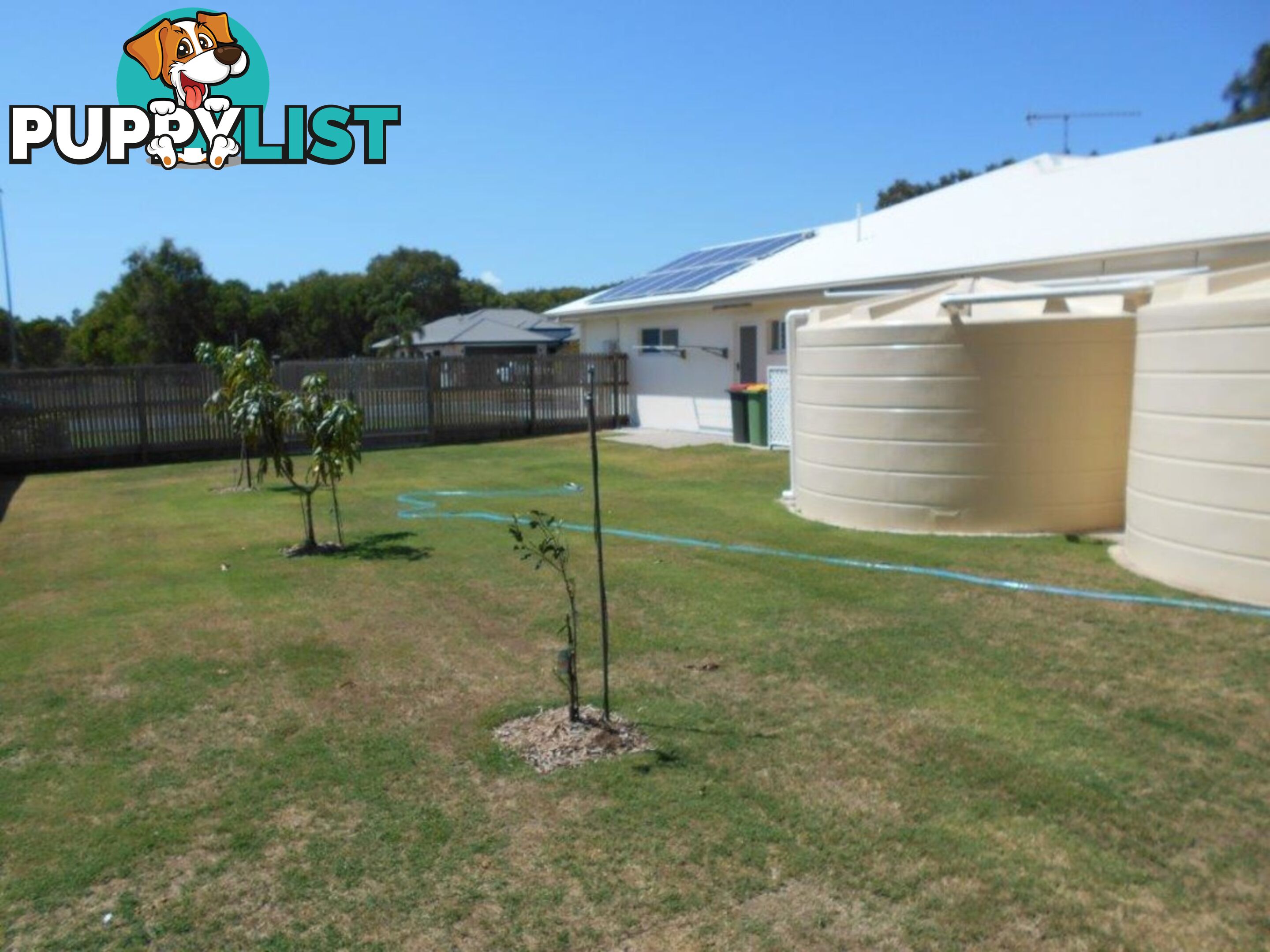 10 Coral Tree Court Forrest Beach QLD 4850