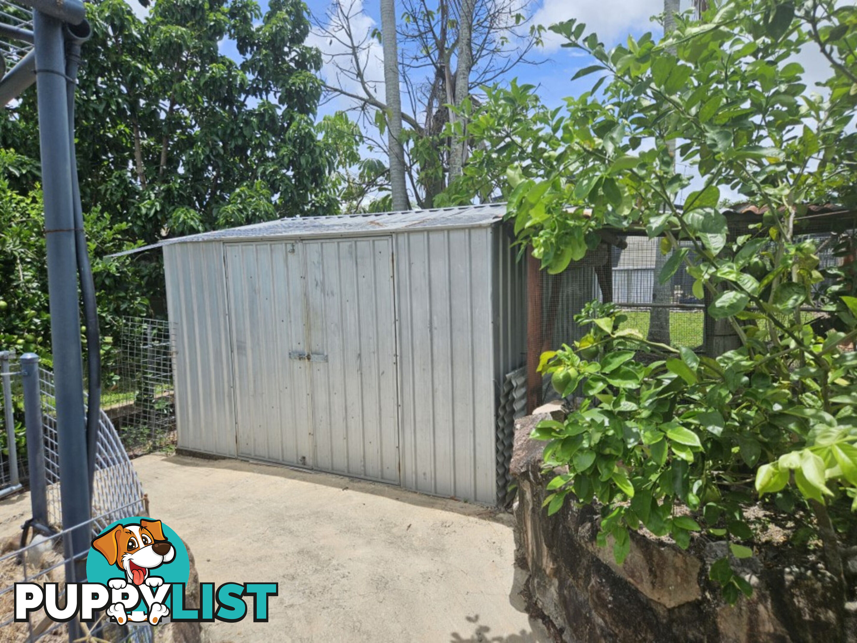 9 Hunter Street Ingham QLD 4850