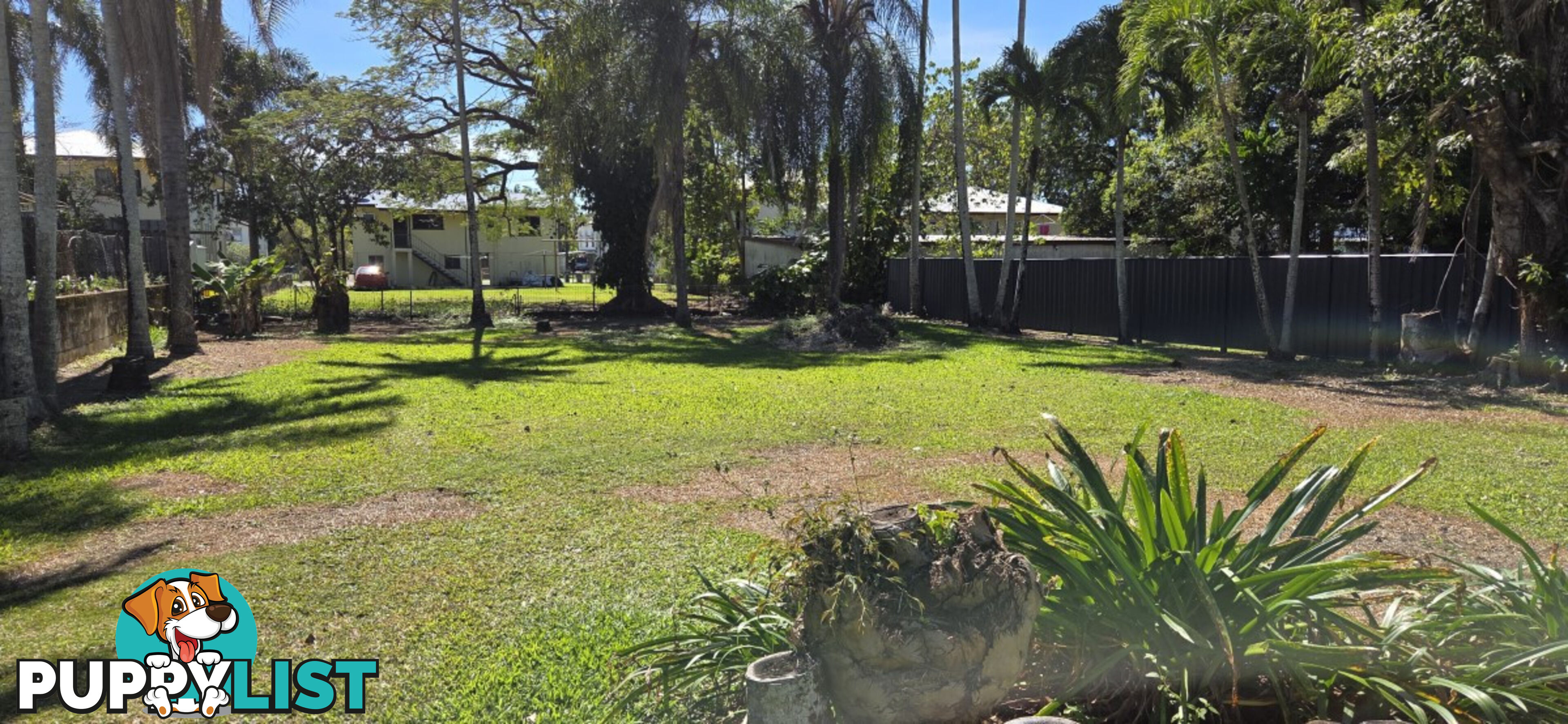 56 Morehead Street Ingham QLD 4850