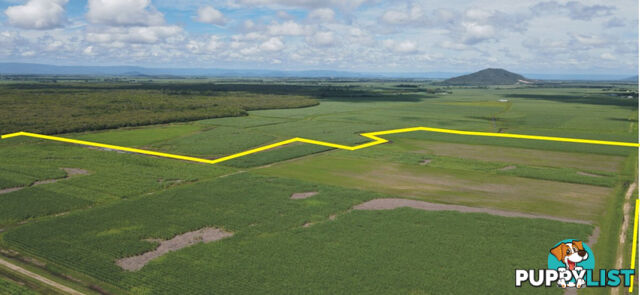 260 Taylors Beach Road Halifax QLD 4850