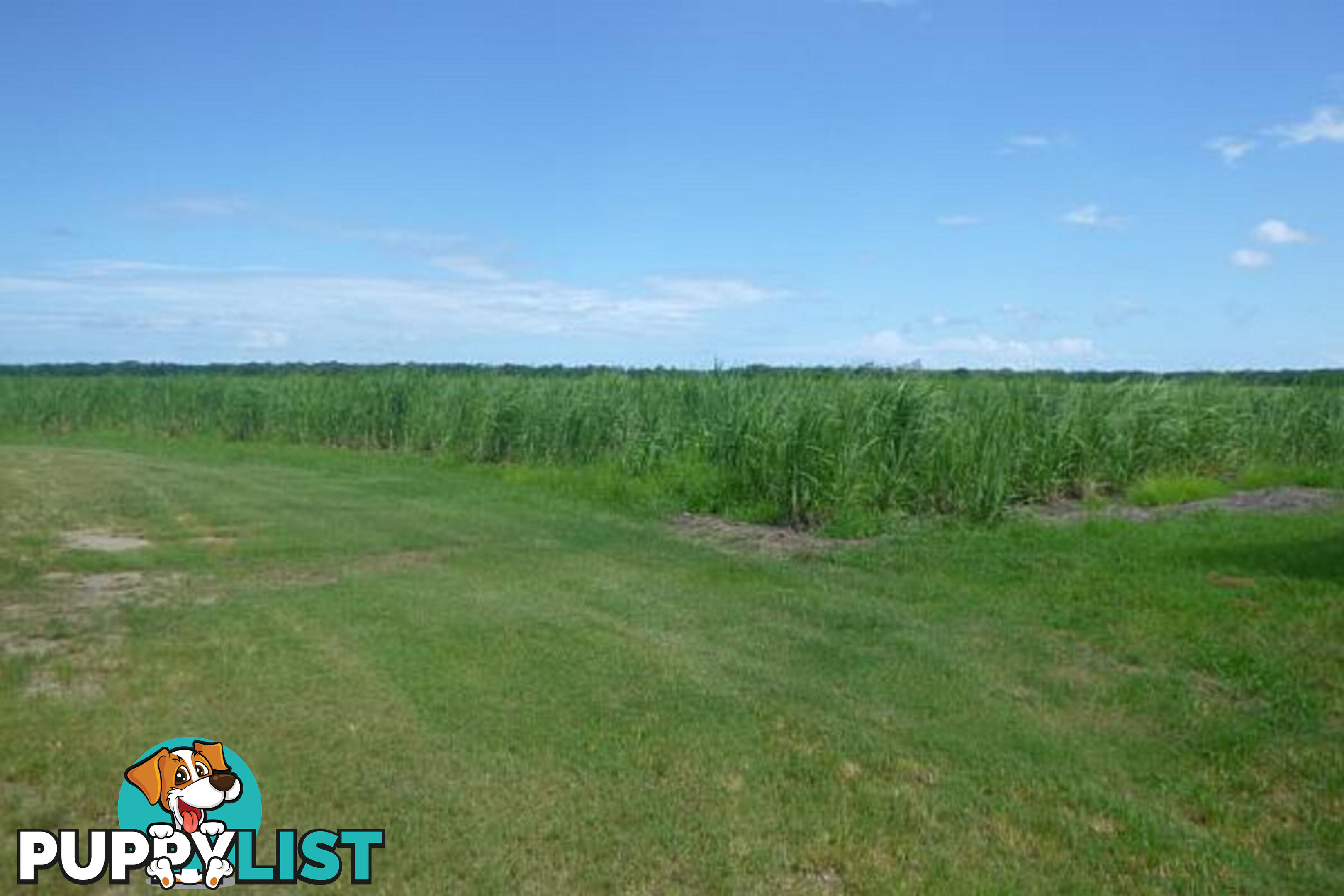 260 Taylors Beach Road Halifax QLD 4850